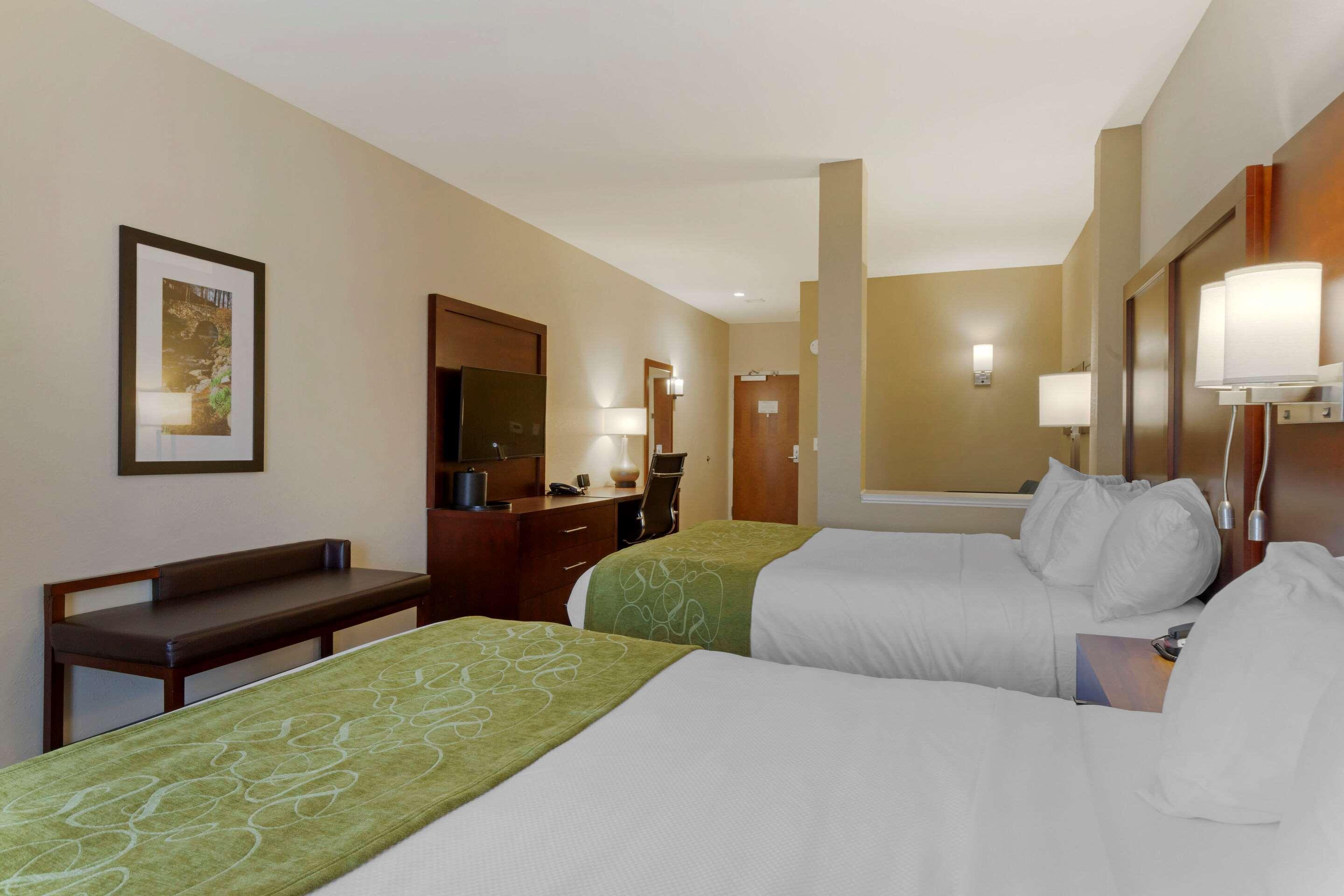 Comfort Suites Greenville South Piedmont Dış mekan fotoğraf