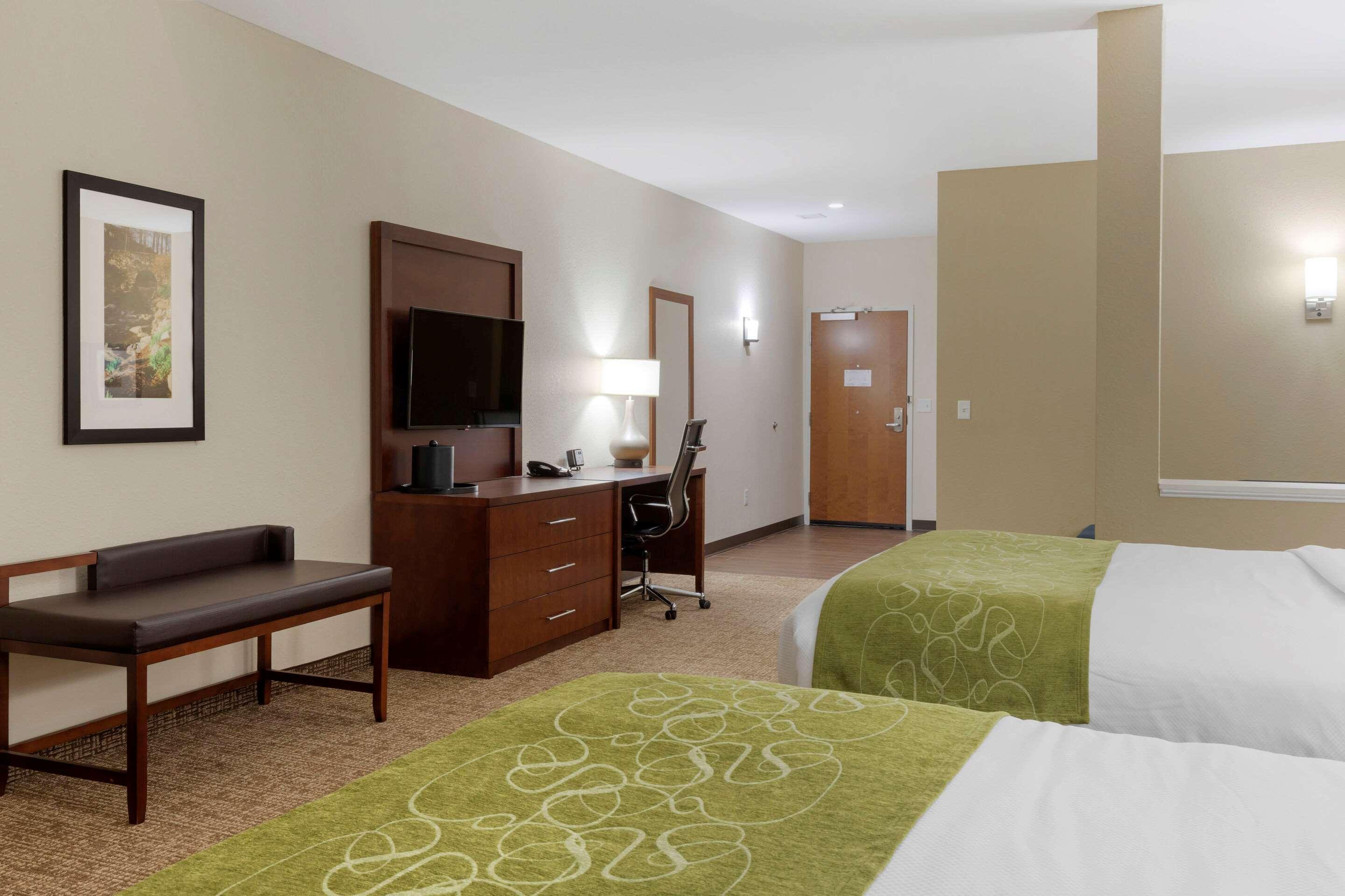 Comfort Suites Greenville South Piedmont Dış mekan fotoğraf